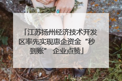 江苏扬州经济技术开发区率先实现惠企资金“秒到账” 企业点赞