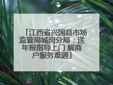 江西省兴国县市场监管局城岗分局：送年报指导上门 解商户服务难题