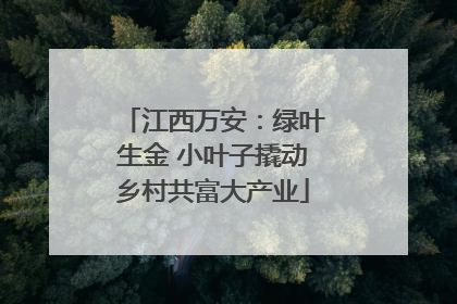 江西万安：绿叶生金 小叶子撬动乡村共富大产业