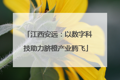 江西安远：以数字科技助力脐橙产业腾飞