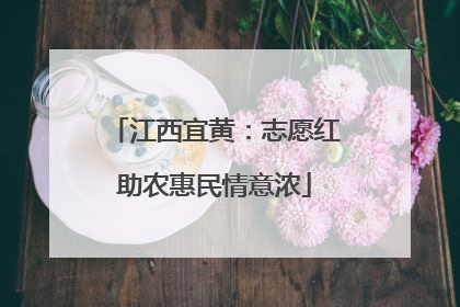江西宜黄：志愿红助农惠民情意浓