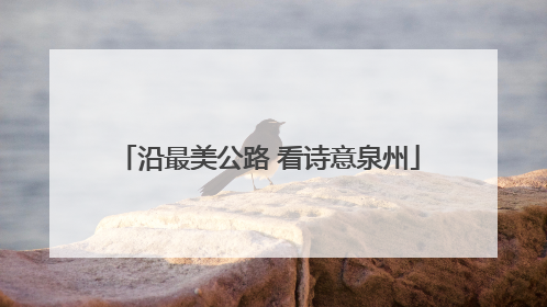沿最美公路 看诗意泉州