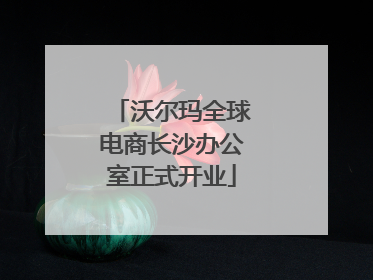 沃尔玛全球电商长沙办公室正式开业