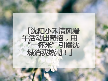 沈阳小禾清风端午活动出奇招，用“一杯米”引爆沈城消费热潮！