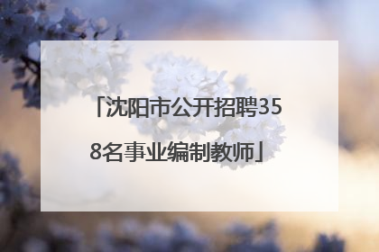 沈阳市公开招聘358名事业编制教师