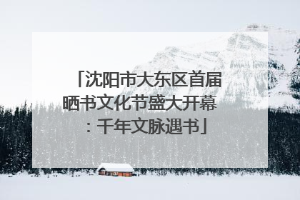 沈阳市大东区首届晒书文化节盛大开幕：千年文脉遇书