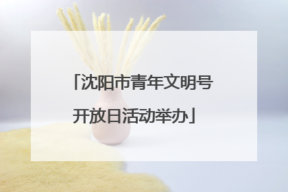 沈阳市青年文明号开放日活动举办