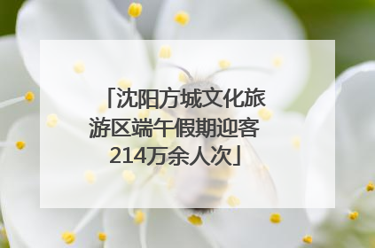 沈阳方城文化旅游区端午假期迎客214万余人次