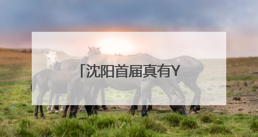 沈阳首届真有YEAST！面包嘉年华启幕，碳水控的福利来啦！