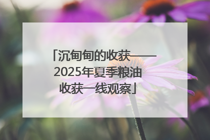 沉甸甸的收获——2025年夏季粮油收获一线观察