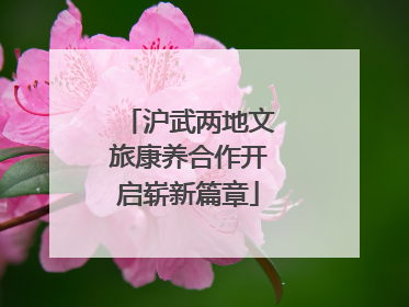 沪武两地文旅康养合作开启崭新篇章