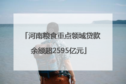 河南粮食重点领域贷款余额超2595亿元