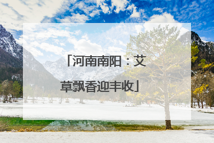 河南南阳：艾草飘香迎丰收