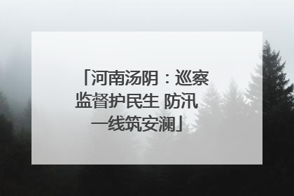 河南汤阴：巡察监督护民生 防汛一线筑安澜