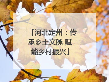 河北定州：传承乡土文脉 赋能乡村振兴