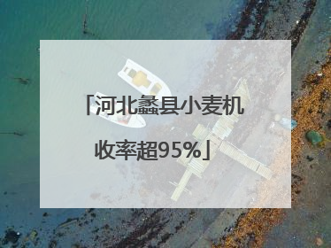 河北蠡县小麦机收率超95%