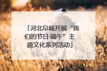 河北阜城开展“我们的节日·端午”主题文化系列活动