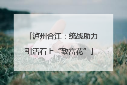 泸州合江：统战助力引活石上“致富花”