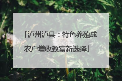 泸州泸县：特色养殖成农户增收致富新选择