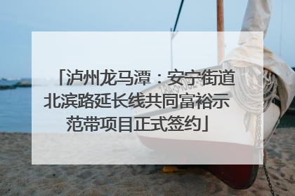 泸州龙马潭：安宁街道北滨路延长线共同富裕示范带项目正式签约