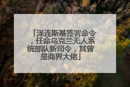 泽连斯基签署命令，任命乌克兰无人系统部队新司令，其曾是商界大佬