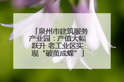 泉州市建筑服务产业园：产值大幅跃升 老工业区实现“破茧成蝶”