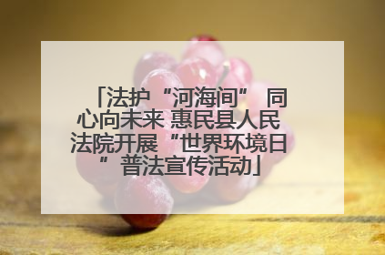 法护“河海间” 同心向未来 惠民县人民法院开展“世界环境日”普法宣传活动