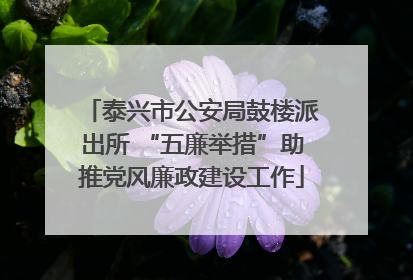 泰兴市公安局鼓楼派出所 “五廉举措”助推党风廉政建设工作