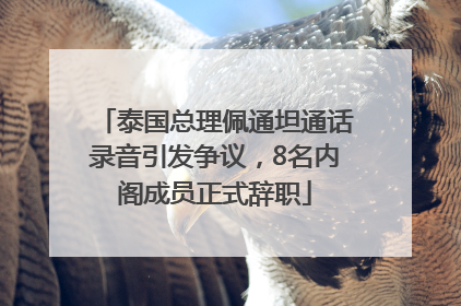泰国总理佩通坦通话录音引发争议，8名内阁成员正式辞职