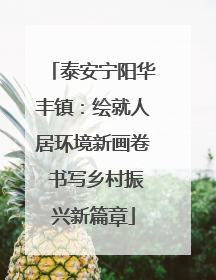 泰安宁阳华丰镇：绘就人居环境新画卷 书写乡村振兴新篇章