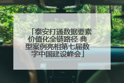泰安打通数据要素价值化全链路径 典型案例亮相第七届数字中国建设峰会
