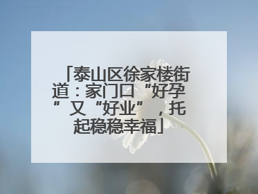 泰山区徐家楼街道：家门口“好孕”又“好业”，托起稳稳幸福