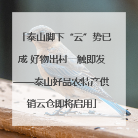 泰山脚下“云”势已成 好物出村一触即发——泰山好品农特产供销云仓即将启用