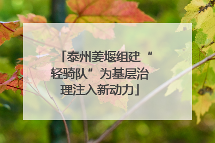 泰州姜堰组建“轻骑队”为基层治理注入新动力