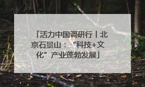 活力中国调研行丨北京石景山：“科技+文化”产业蓬勃发展