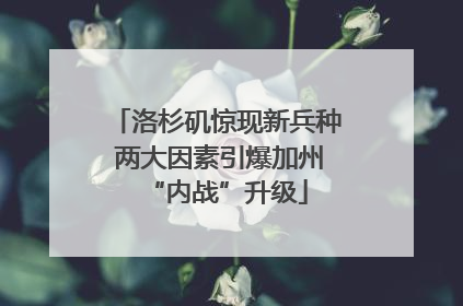 洛杉矶惊现新兵种 两大因素引爆加州“内战”升级