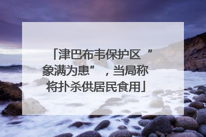 津巴布韦保护区“象满为患”，当局称将扑杀供居民食用