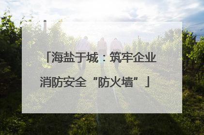 海盐于城：筑牢企业消防安全“防火墙”