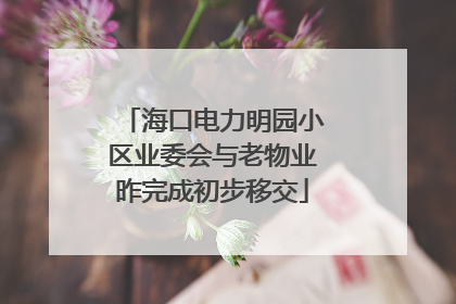 海口电力明园小区业委会与老物业昨完成初步移交
