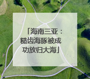 海南三亚：糙齿海豚被成功放归大海