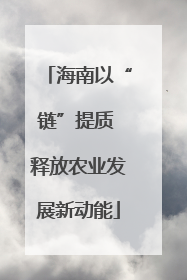 海南以“链”提质 释放农业发展新动能