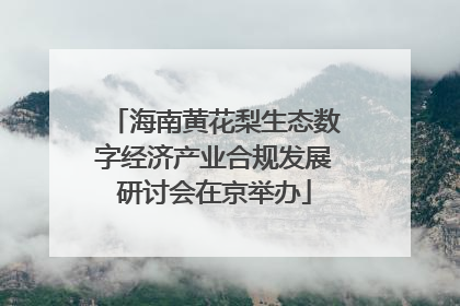 海南黄花梨生态数字经济产业合规发展研讨会在京举办