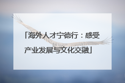 海外人才宁德行：感受产业发展与文化交融