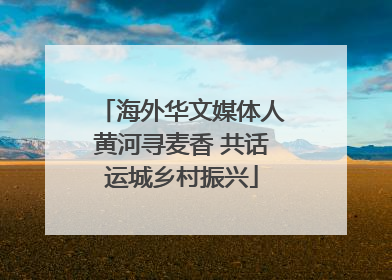 海外华文媒体人黄河寻麦香 共话运城乡村振兴