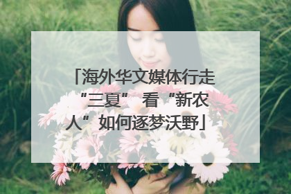 海外华文媒体行走“三夏” 看“新农人”如何逐梦沃野