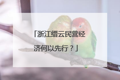 浙江缙云民营经济何以先行？