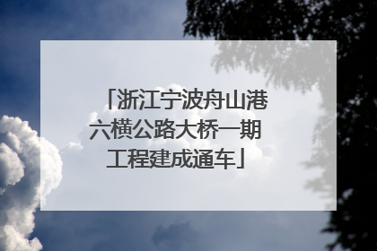 浙江宁波舟山港六横公路大桥一期工程建成通车