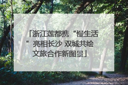 浙江莲都携“慢生活”亮相长沙 双城共绘文旅合作新图景