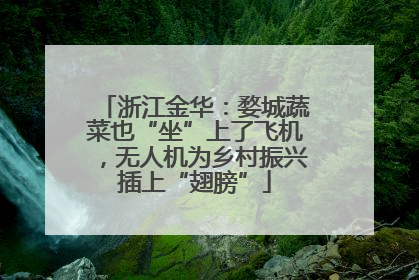 浙江金华：婺城蔬菜也“坐”上了飞机，无人机为乡村振兴插上“翅膀”