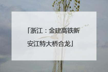 浙江：金建高铁新安江特大桥合龙